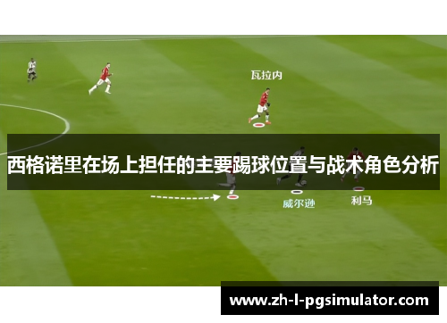 西格诺里在场上担任的主要踢球位置与战术角色分析