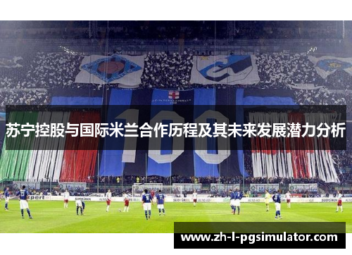 苏宁控股与国际米兰合作历程及其未来发展潜力分析 苏宁控股与国际米兰合作历程及其未来发展潜力分析