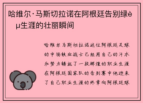 哈维尔·马斯切拉诺在阿根廷告别绿茵生涯的壮丽瞬间 哈维尔·马斯切拉诺在阿根廷告别绿茵生涯的壮丽瞬间